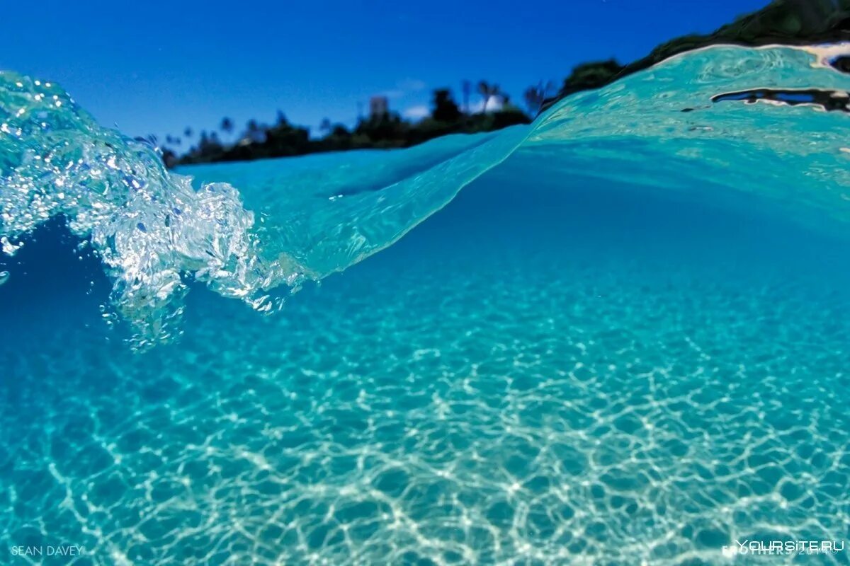 Кристальное море. Прозрачное море. Прозрачная вода. Море вода. Красивая вода.