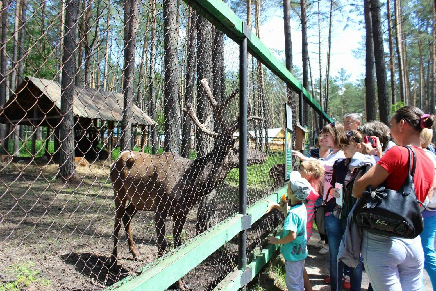 Томская писаница где