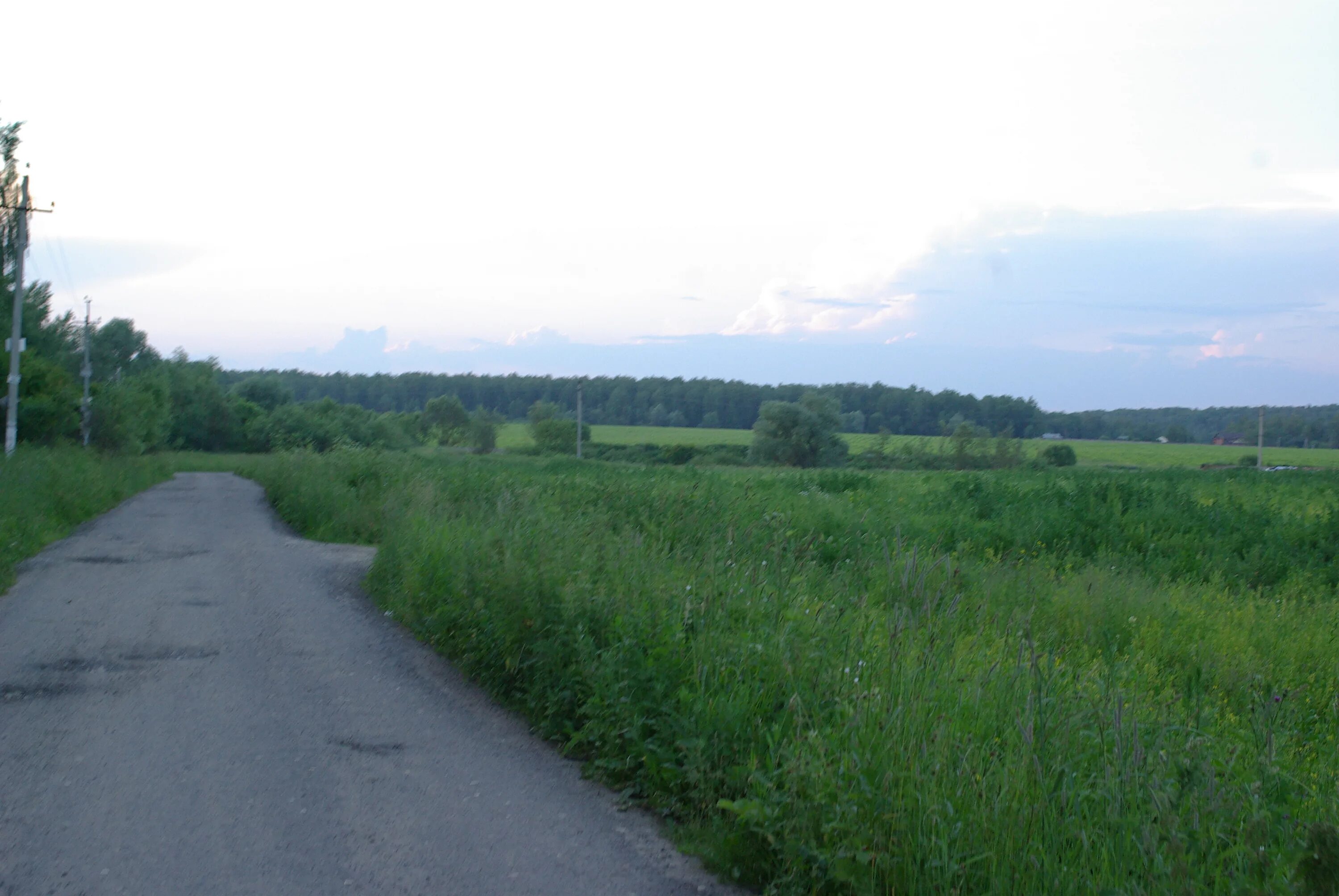 Новоселки вб. Новоселки. Новоселки Тульская область. Новоселки Орловская область. Новосёлки Ульяновская область.