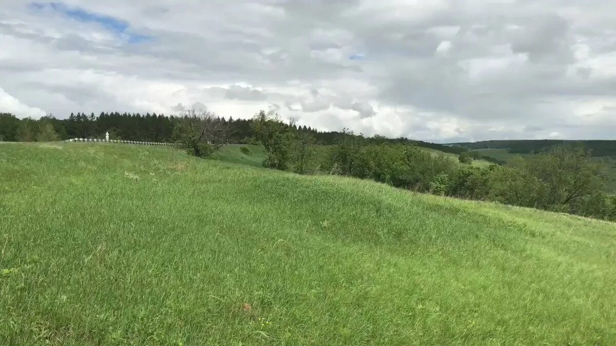 Погода шентала самарская на 10 дней область. Фото природы шентала. шентала самарская область фото природы. старошенталинская природа. шентала самарская область мальцев александр.