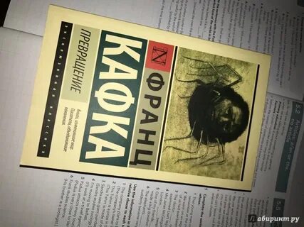 Кафка превращение цитаты