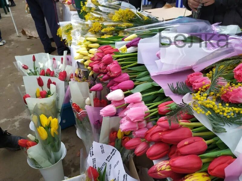 тюльпаны стоят 30 рублей за штуку. тюльпаны задания. тюльпаны в машине. 8 марта цветочный магазин. цветы на восьмое марта.