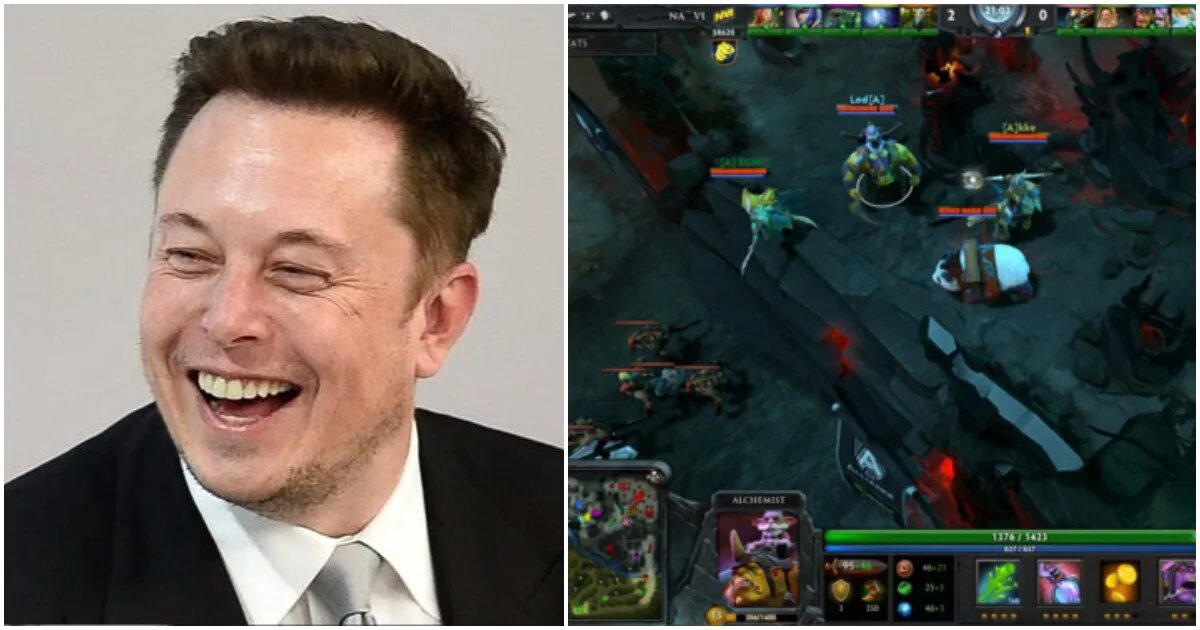 Дота против ботов. Elon Musk Dota. Бот дота 2. Bot и Top дота 2. АТ Dota 2.