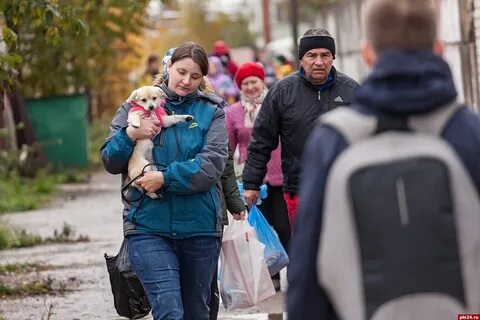 Приют псков