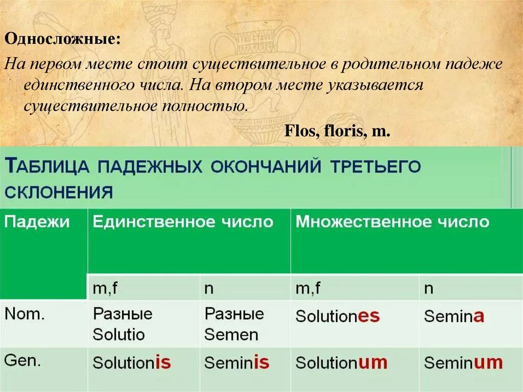 Множественное число в латинском языке таблица Aesthesiologia латынь