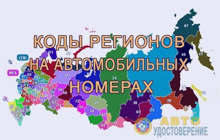 Номера регионов россии на автомобилях 2024. Регионы России. Коды регионов России. Коды автомобильных номеров. Номера регионов России.