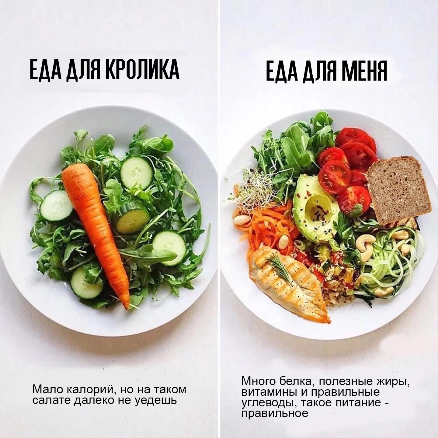 Пп как образ