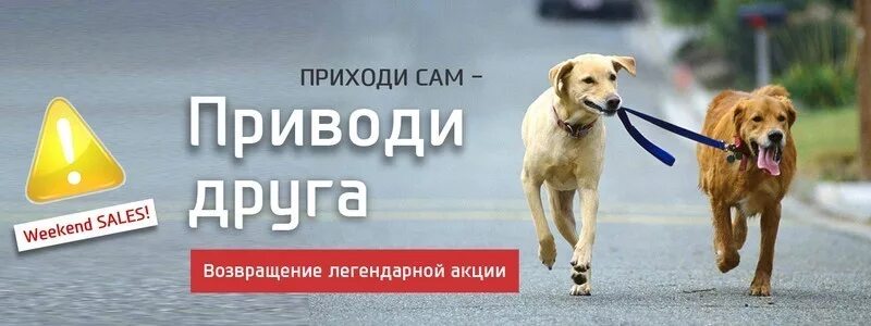 Приведи друга и получи. Приходи приходи и друга приводи. Приходи приходи и друга приводи. Приведи друга. Пригласи друга и получи скидку.