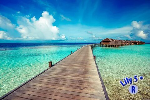 Lily beach