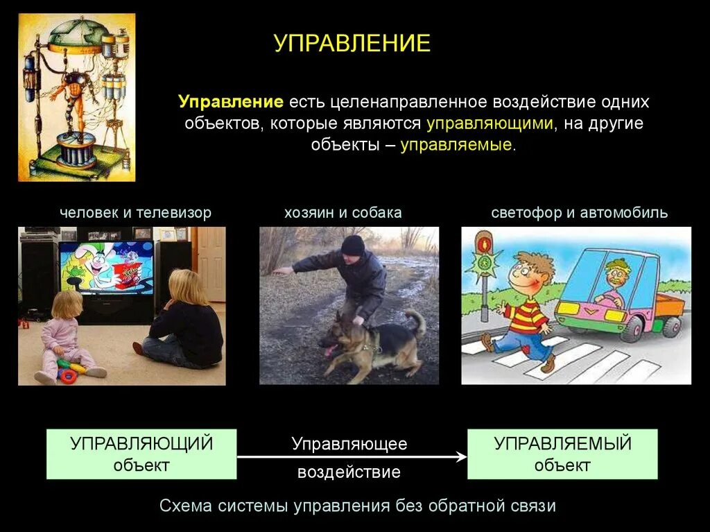 Человек как управляющий объект