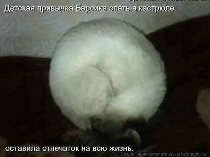Ежик без головы и ножек