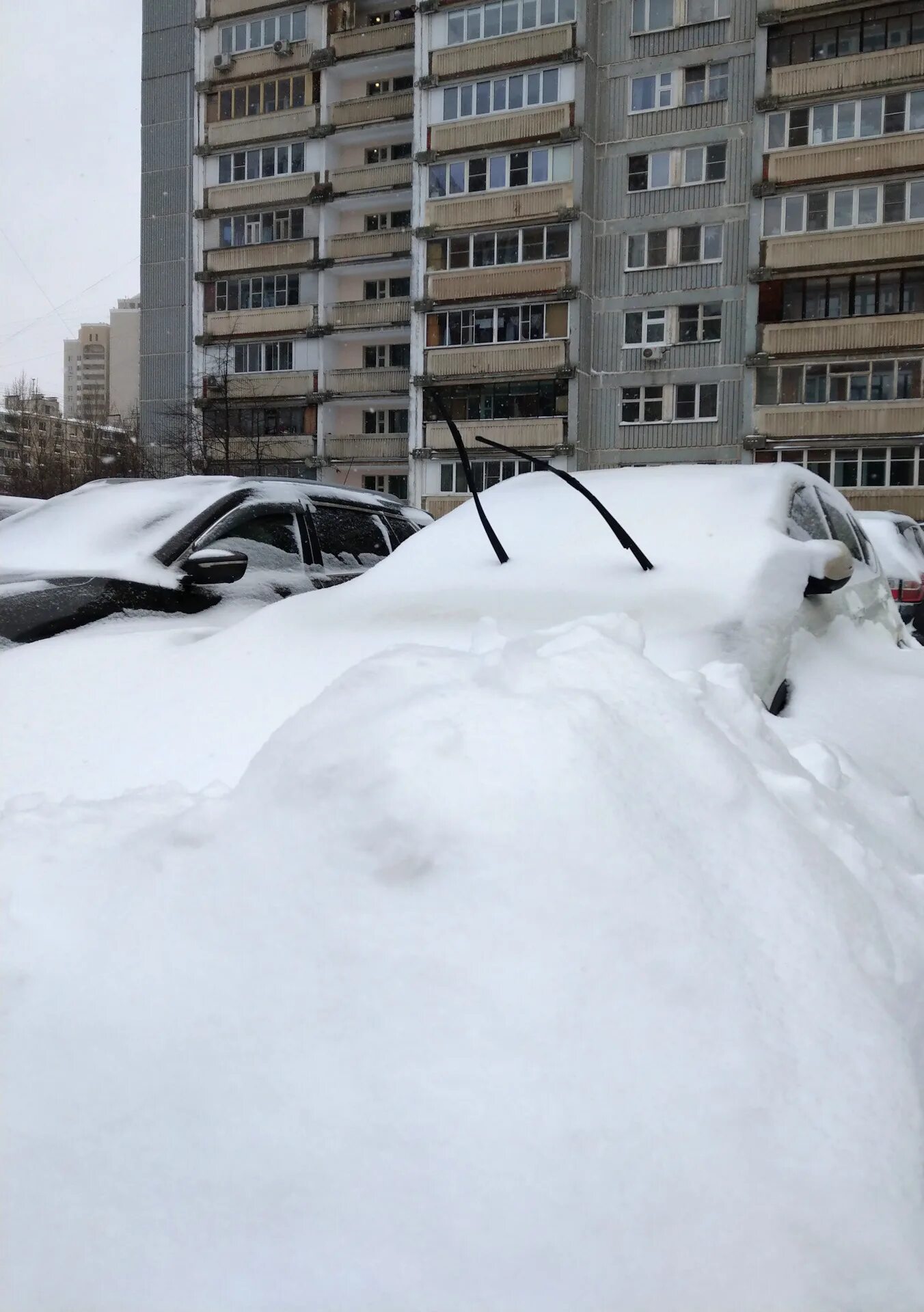 Сколько сегодня снег. Завалило снегом. Окно заваленное снегом. Москву завалило снегом. 2 Сугроба.