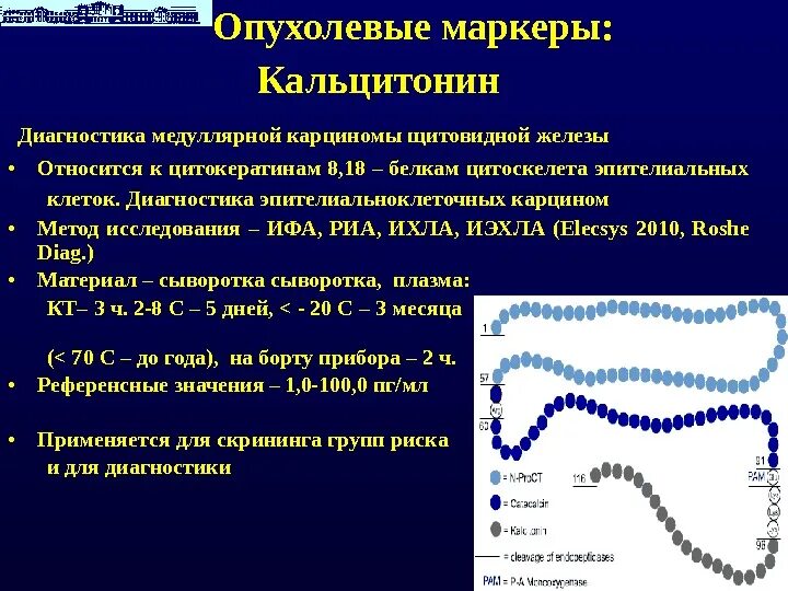 ИФА метод кальцитонин. Таблица нормы кальцитонина. Кальцитонин анализ щитовидной железы норма у женщин. Нормальные показания кальцитонина. Кальцитонин 2 что значит