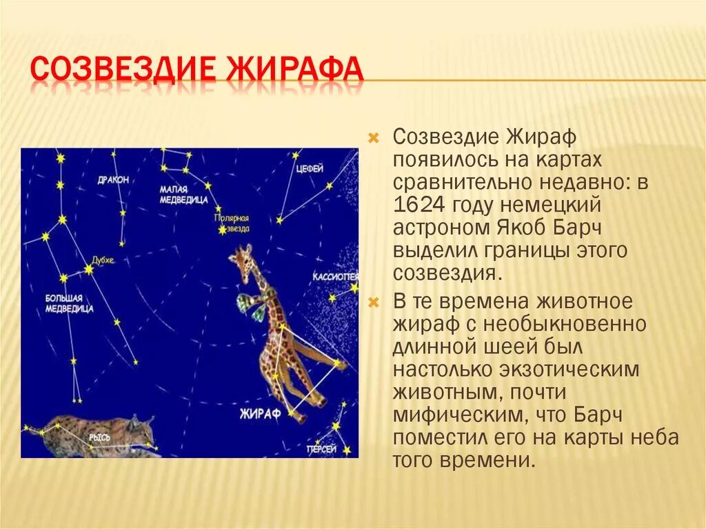 Подготовить сообщение о созвездии. Созвездие жираф это астеризм. созвездия презентация. сообщение о созвездии. звезды и созвездия презентация.
