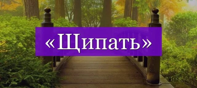 Щипет или щиплет как правильно. Проверочное слово к слову пощипал. Проверочное слово к слову щипать. Ощипать проверочное слово. Щипала проверочное слово к букве и.