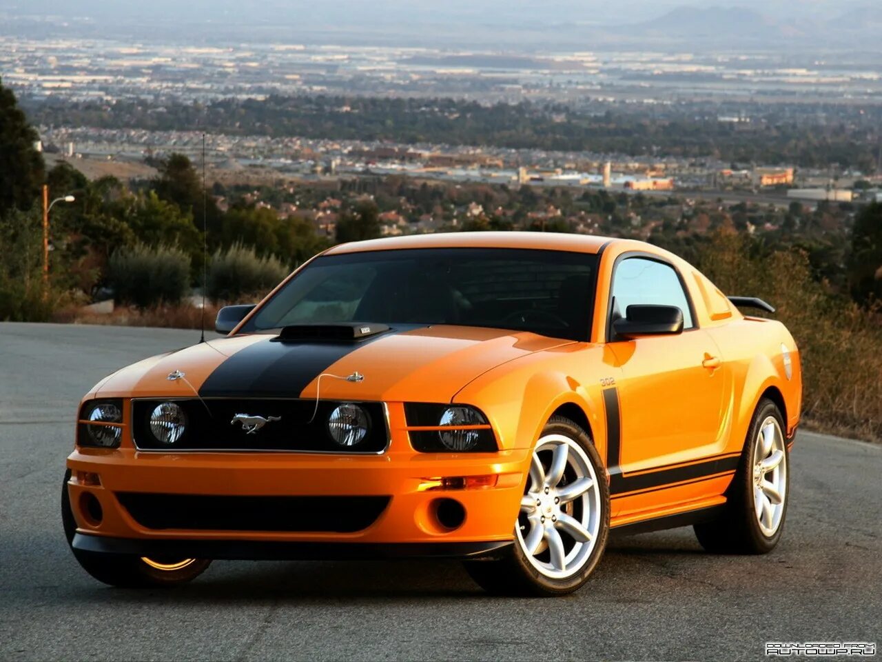 Ford mustang boss 302 2010. Про машину мустанг. Ford mustang boss 302 2015. Форд мустанг 64. Форд мустанг 85.