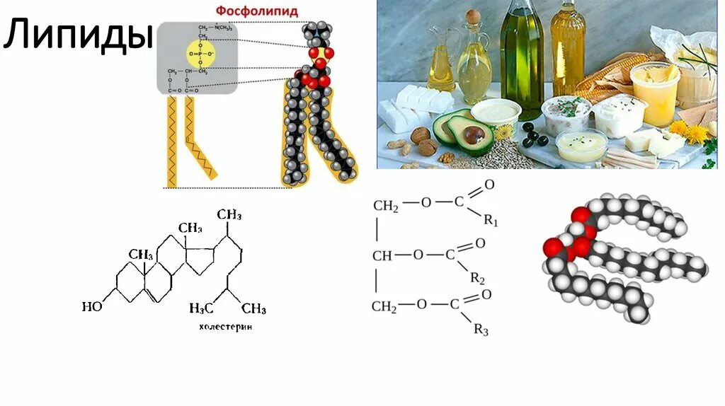 Липида отзывы. Строение липидов формула. Липиды рисунок строение. Строение липидов химия. Строение жиров фосфолипиды триглицериды.