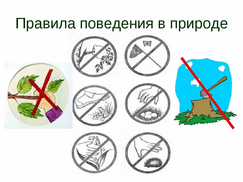 Экология знаки берегите природу. Павилапведенияв природе. знаки защиты природы. правила поведения на природе. знаки защиты природы для детей.