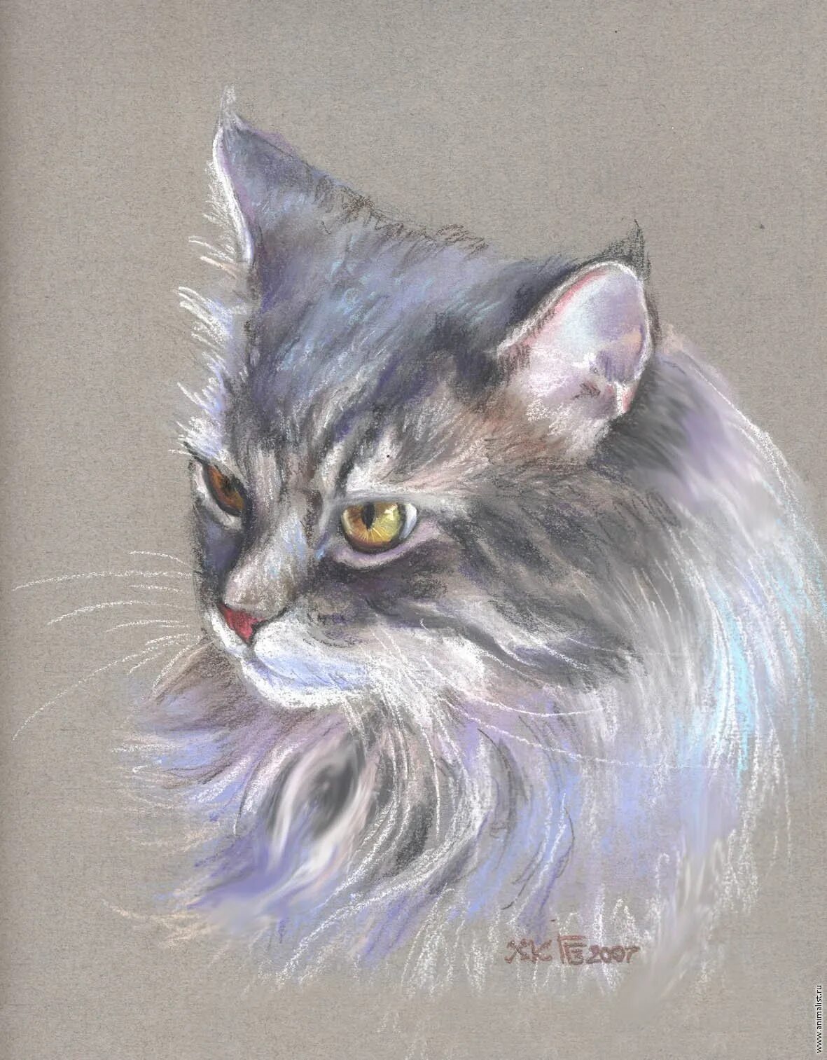 словесный портрет кота. художник paul knight. словесный портрет кота. художник колотуша елена (elena kolotusha). кошки.