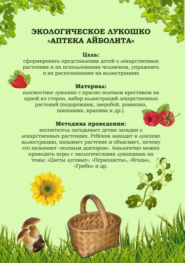 дидактические игры экологическое воспитание. экологические игры для детей. экологические игры для дошкольников. игровая экологическая площадка в детском саду. дидактическое пособие по экологии для детского сада.