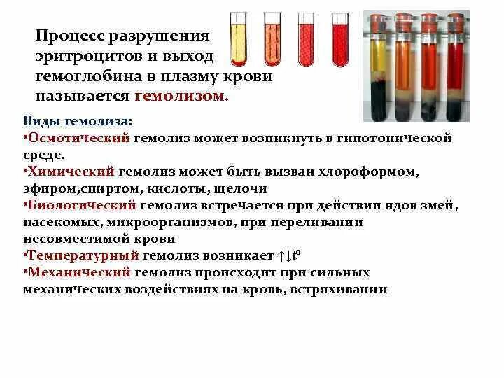 Почему при анализе свернулась кровь. Признак гемолизированной крови плазма. Химический гемолиз цвет раствора. Химический гемолиз эритроцитов. Причина химического гемолиза эритроцитов.