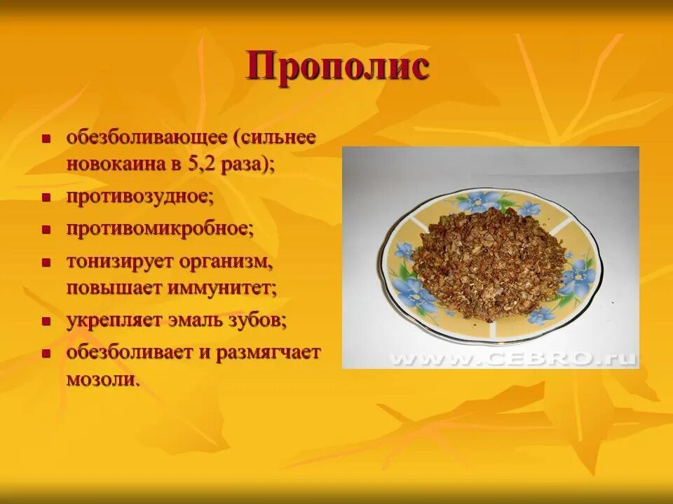 Чем полезен прополис. Прополис презентация. Прополис полезные св-ва. Пчелиный прополис лечебные.