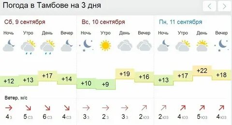 Погода на неделю в тамбове почасовая