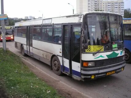 Автобусы плесково ольховая расписание
