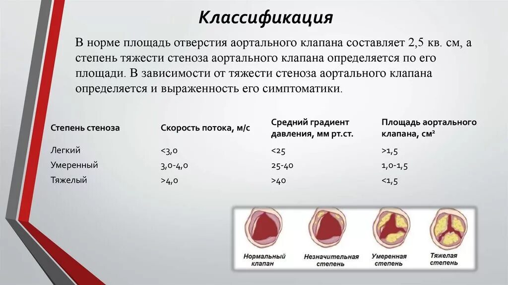 Норма форма сердца. Отверстие аортального клапана норма. Площадь раскрытия аортального клапана норма. Отверстие митрального клапана в норме. Створки аортального клапана на ЭХОКГ.