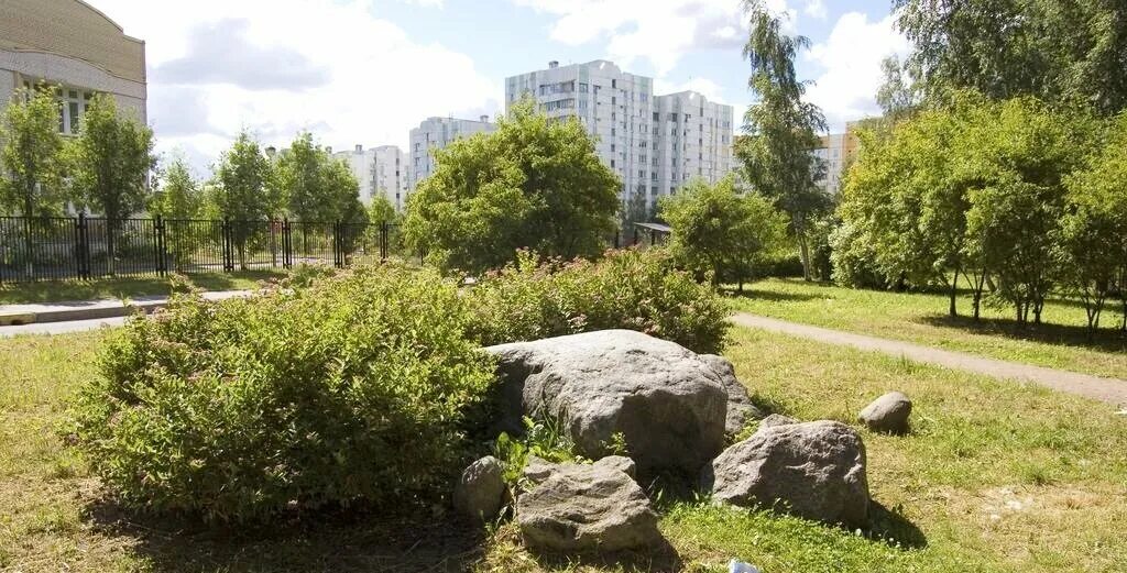 Парк комендантский проспект. Санкт петербург комендантский проспект 28. Санкт петербург комендантский проспект 28. Комендантский проспект 8 спб. Парк комендантский проспект.
