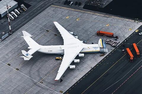 Поли ютуб мрия