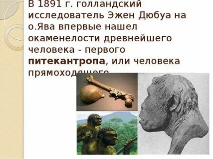 Откуда человек узнал