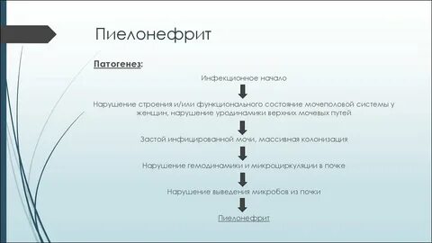 Этиология пиелонефрита
