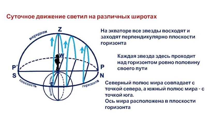 Суточное движение светил на различных широтах. Сутрчное двмжение свеиил. Суточное движение звезд. Видимое суточное движение звёзд на разных широтах. Видимое движение небесных сфер