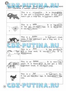 Choose the right word ответы
