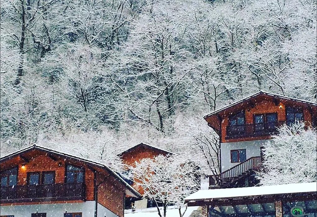 Лакоба 58 новый афон абхазия. Вилла аквавизи 4 абхазия гагра. Отель грифон абхазия новый. Отели в горах абхазии. Гостиница на озере рица абхазия.