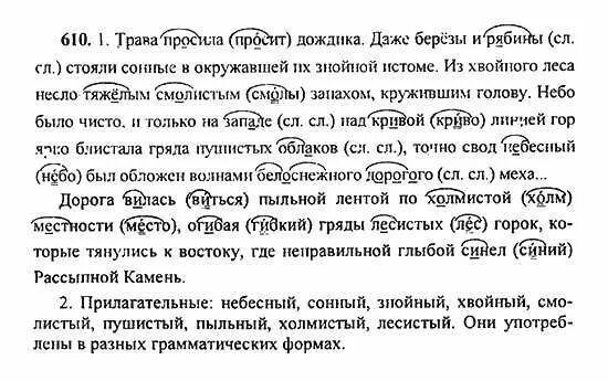 первый весенний дождь. дождь. трава просила дождика даже березы. весна дождь. умываться росой.