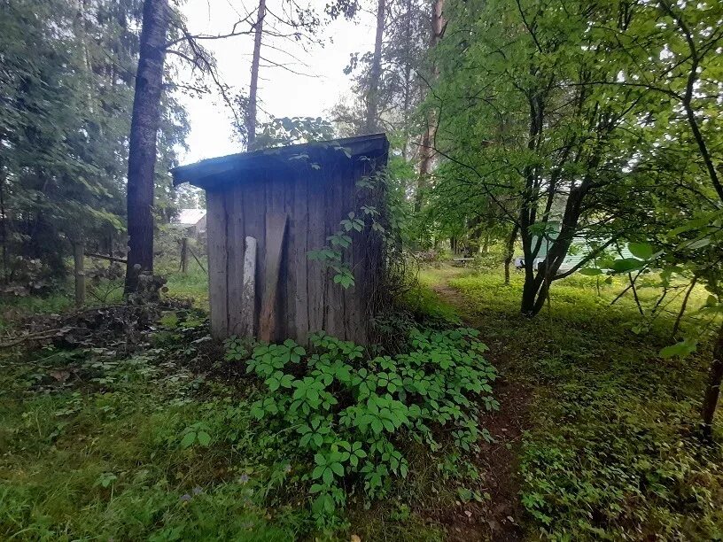 Погода воргаш талдомский. Воргаш.