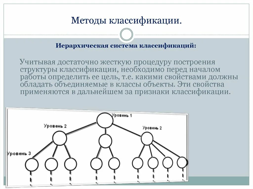 Иерархического соподчинения элементов нервной системы. Методы классификации. Иерархический метод классификации. Схема иерархического метода классификации. Пример метода классификации.