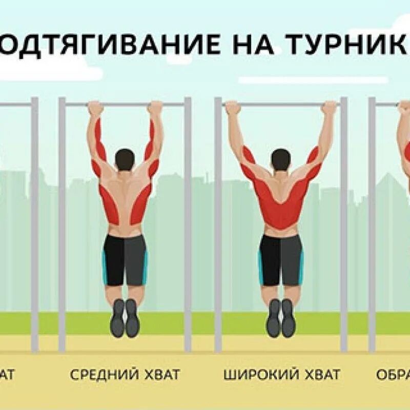 При подтягивании задействованы. Подтягивания. Узкий хват на турнике. Подтягивания мышцы задействованы. Подтягивания узким хватом.