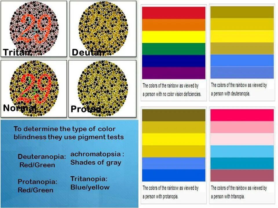 Отличают цвета. Protan дальтонизм. Цвета для дальтоников. Дальтонизм цветовая слепота. Цветовая палитра для дальтоников.