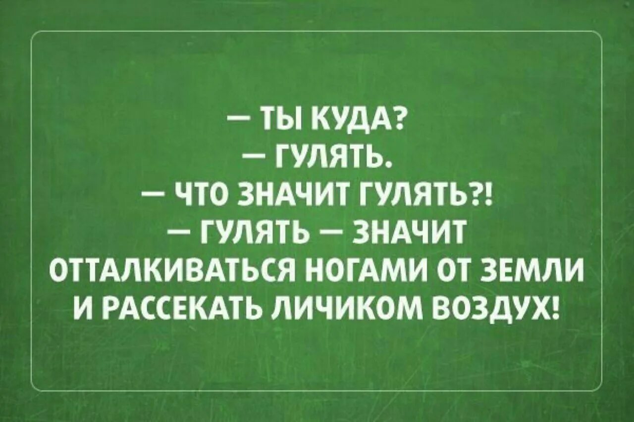 Значит погулять. Что такое гулять рассекать личиком воздух. Ты куда гулять что значит гулять. Гулять это отталкиваться ногами от земли и личиком рассекать воздух. Гулять - отталкиваться ногами от земли и.