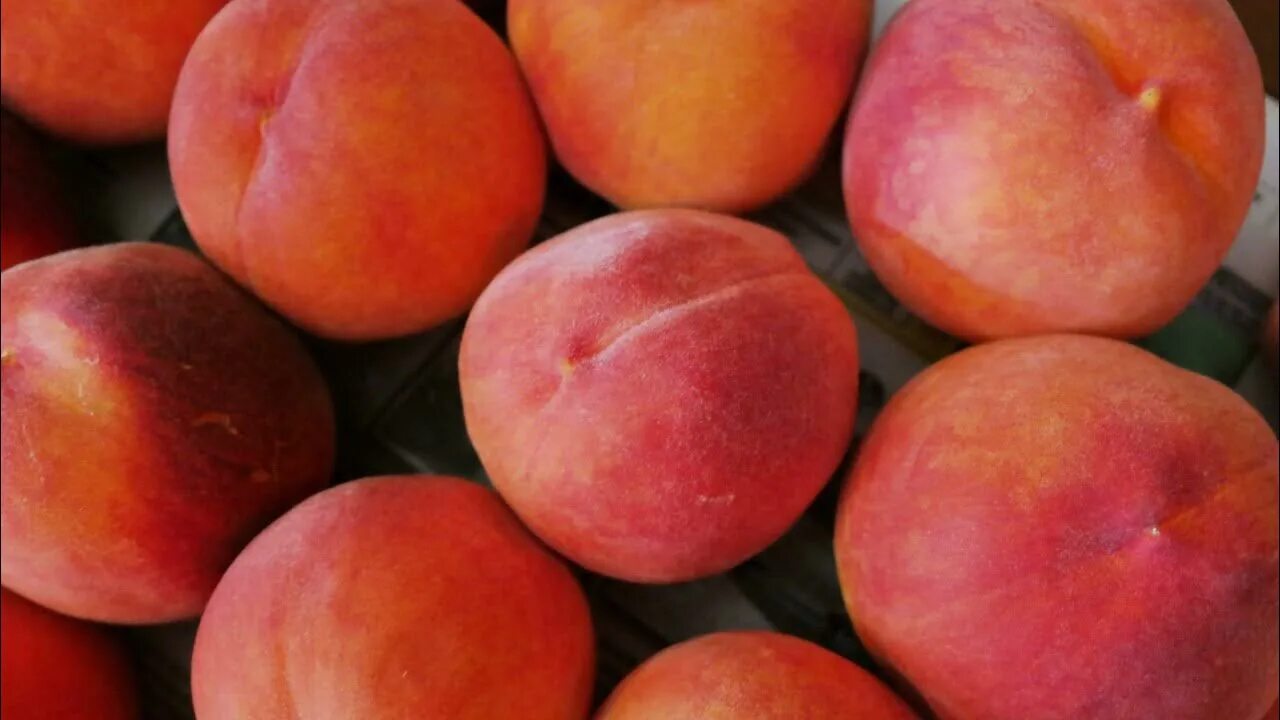 Peach apricot