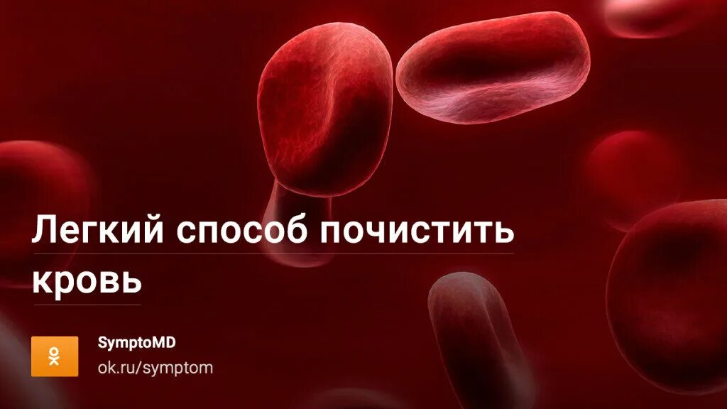 Что чистит кровь в организме. Очистка крови в организме. Как почистить кровь в организме. Чем можно почистить кровь. Как очистить кровь от инфекции.