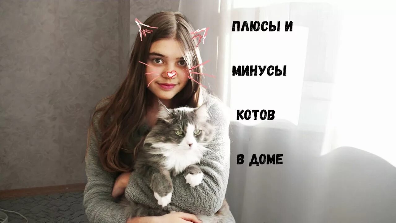 Плюсы и минусы кота. Кот минус. Плюсы кошек. Минусы котов в доме.