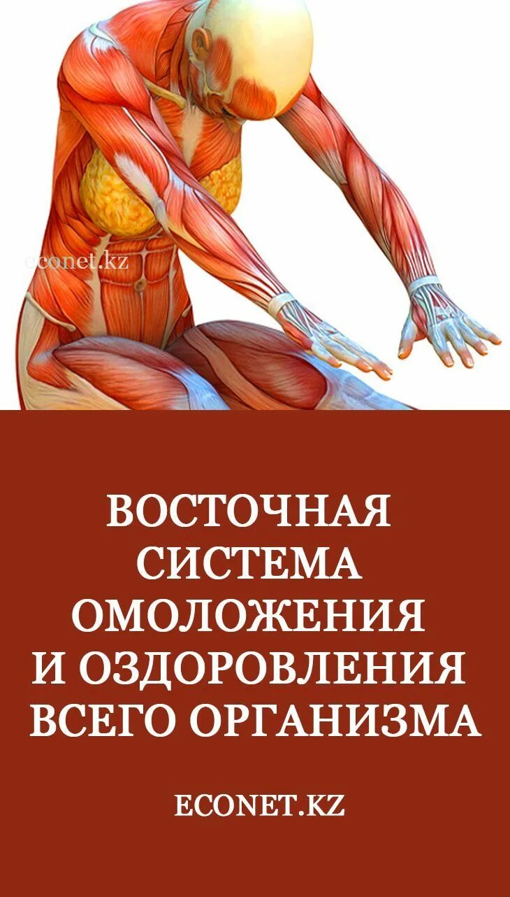 Восточную систему