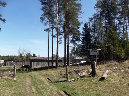 Курортное лесничество