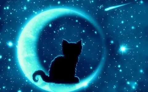 Кошка смотрит на луну