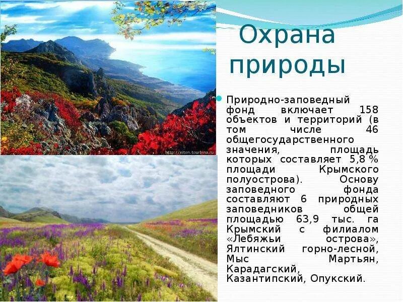 Природно заповедный фонд. Охрана природы Крыма. Природа Крыма презентация. Природа и география Крыма. Рассказ о природе Крыма.