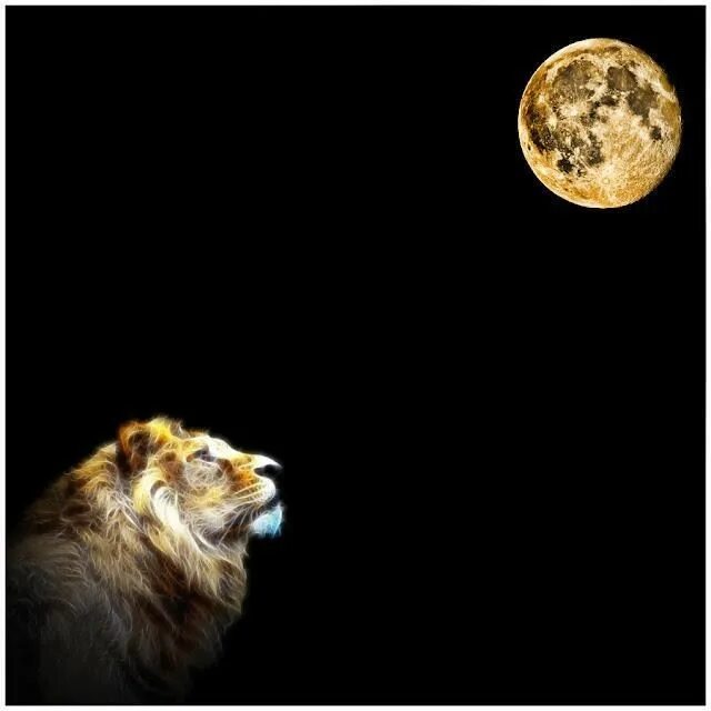 Полнолуние во льве. Полнолуние во льве. Солнце лев луна. Лунный лев. Луна во льве.